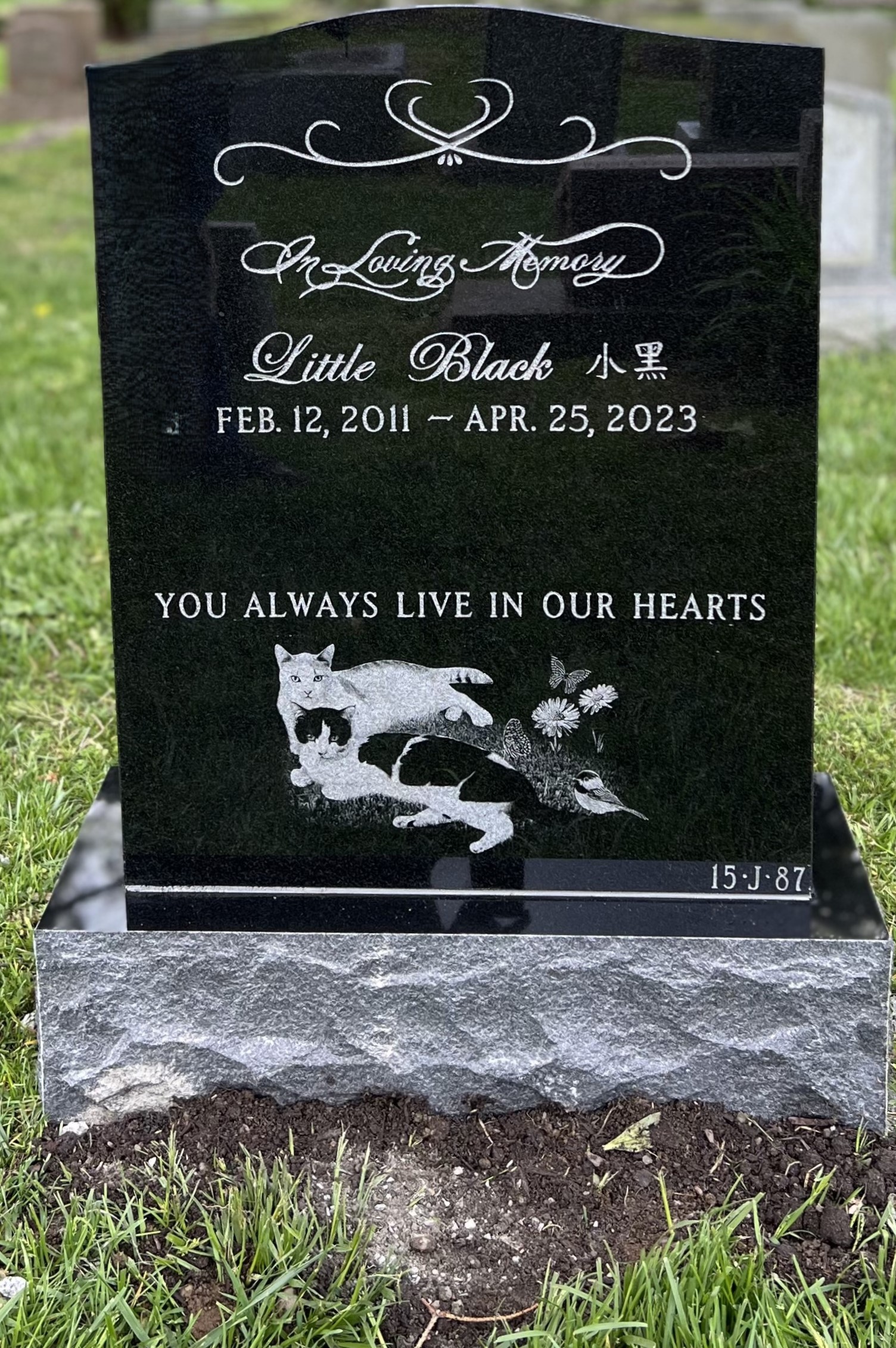 Custom Pet Memorials - West Babylon